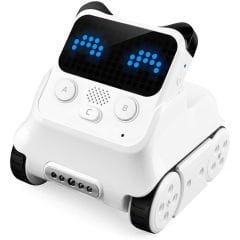 Codey Rocky Robot